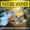 Robbins Island Music Group - Nature Sounds: Pure Ocean Waves, Morning Songbirds, River Sounds, Thunderstorms, Falling Rain Sounds